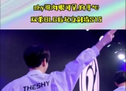 九游-TheShy关键节点连败，加拿大队带队取胜！的简单介绍